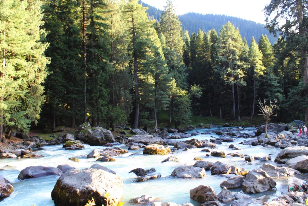 A serene view of Pahalgam's lush landscapes, with snow-capped mountains in the backdrop and a flowing river in the foreground.